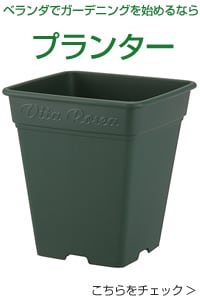 プランター