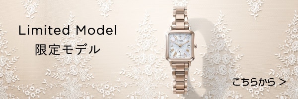 限定モデル