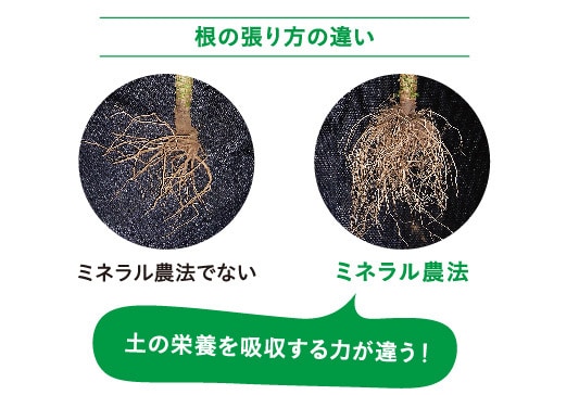 栽培する土壌にもこだわり