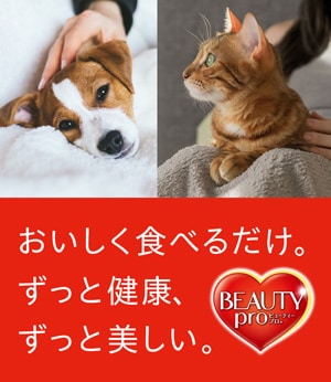 ビューティープロ　1/31