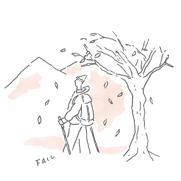 Fall