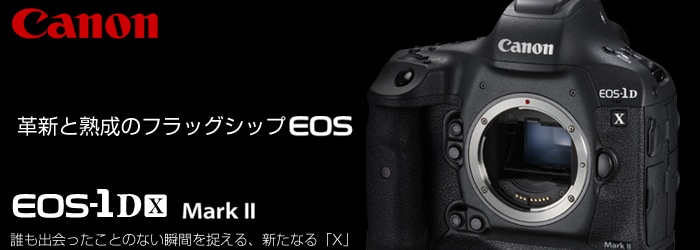 ヨドバシ.com - 革新と熟成のフラッグシップ一眼レフ キヤノン「EOS-1D X Mark II」