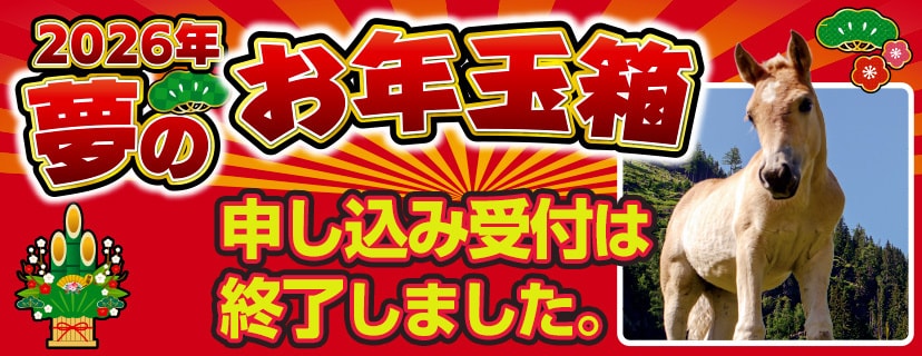 ヨドバシカメラ 夢のお年玉箱 2026
