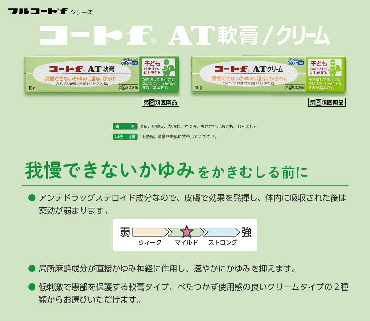 コートF AT