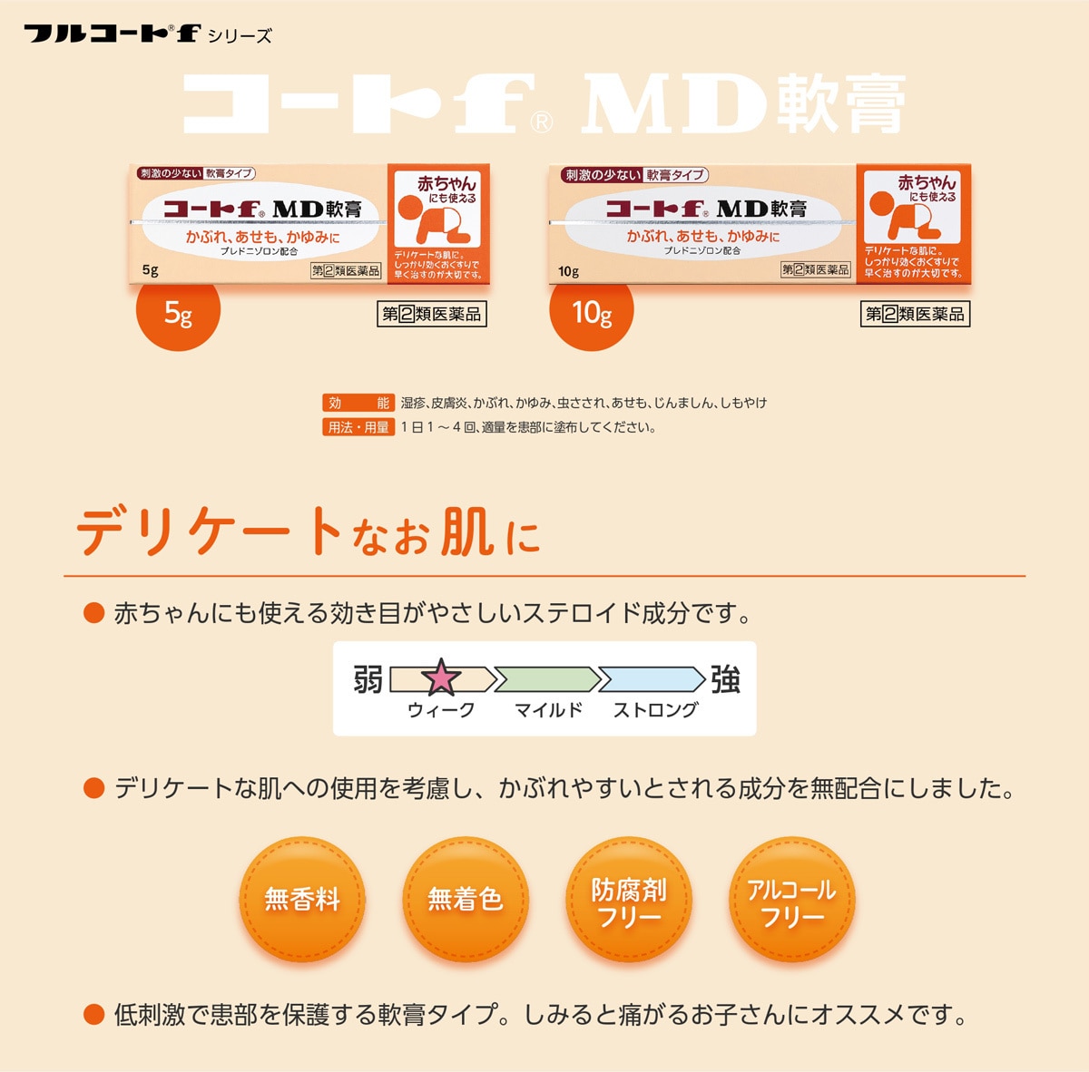 コートF MD
