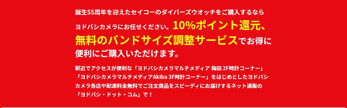 yodobashi10%points