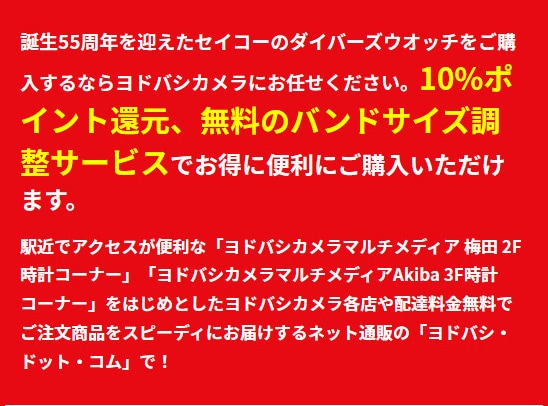 yodobashi10%points