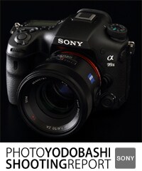 SONY α99 II SHOOTING REPORT
