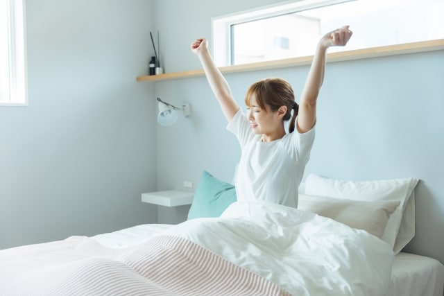 ZEBEX INDUSTRIES まね ハンドフリースタンド ライト 