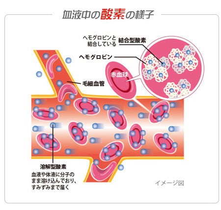 全身のすみずみまで