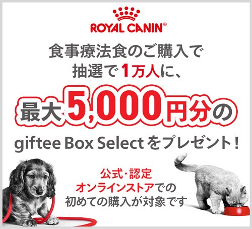 ロイヤルカナン ユリナリー S/O 犬用缶詰200g☓35缶 滑り出す