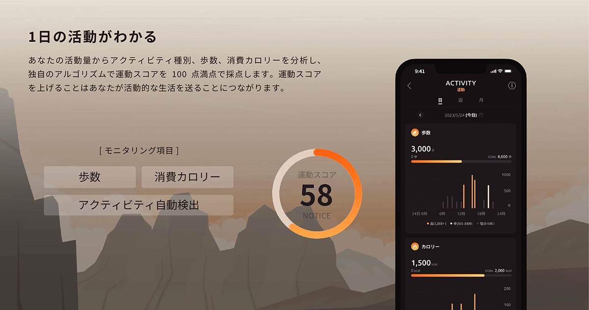 1日の活動