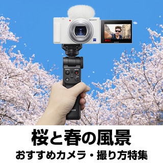 桜写真の撮り方特集