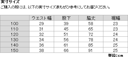 ヨドバシ.com - ザ・ノース・フェイス THE NORTH FACE スノーパンツ