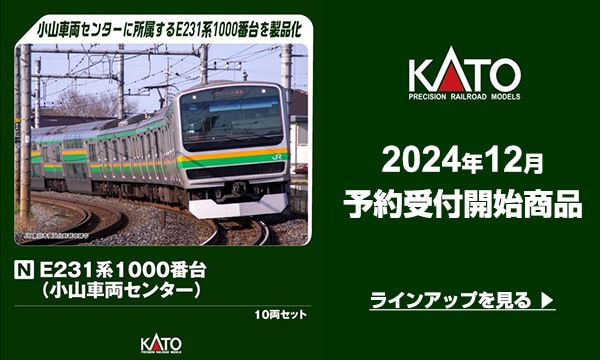 国鉄 鉄道 両面 急行/座席指定 表示プレート 国鉄 鉄道 両面 急行/座席指定 表示プレート