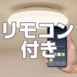 リモコン付きモデル