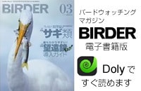 BIRDER電子版