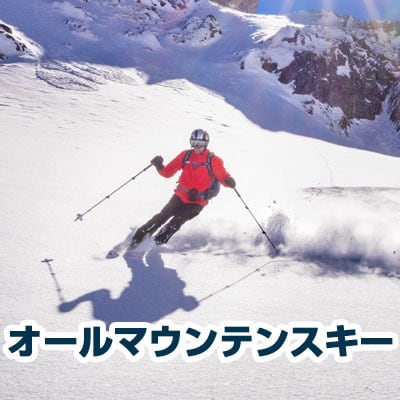 スキー板の選び方(はじめての方でも安心)｜石井スポーツ公式サイト