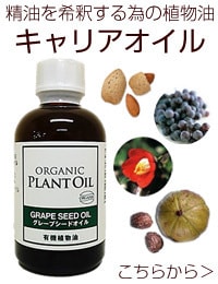 キャリアオイル