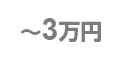 ~3万円