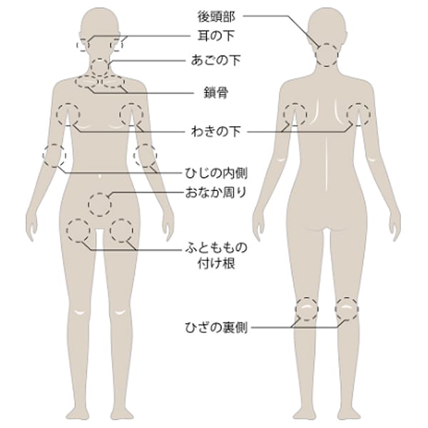 全身のめぐりに注目