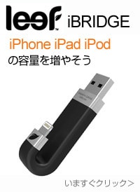 Leef iBRIDGE