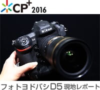 D5レポート