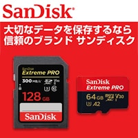 サンディスク特集