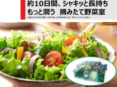 約10日間野菜がシャキット長持ち「もっと潤う 摘みたて野菜室」