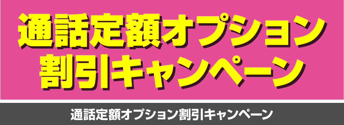 通話定額オプション
割引キャンペーン