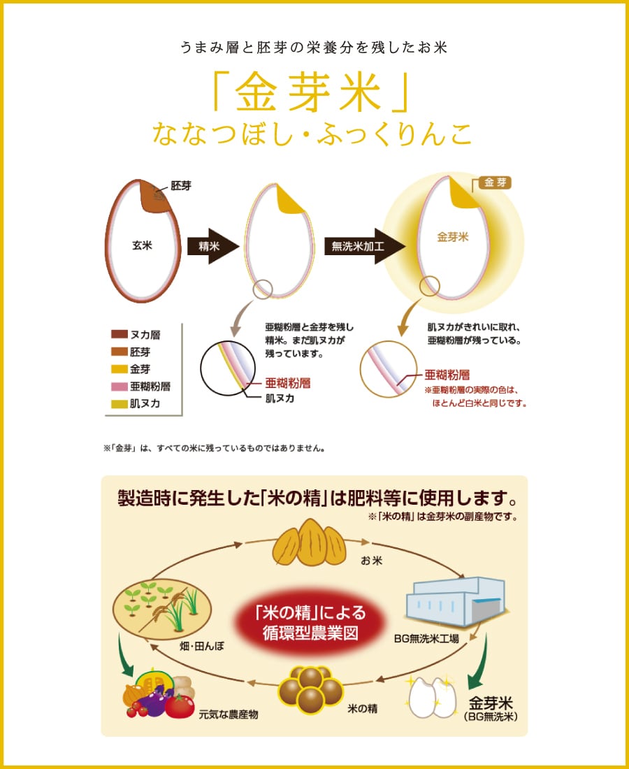 金芽米