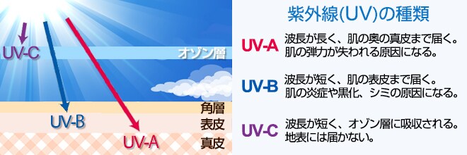 紫外線について