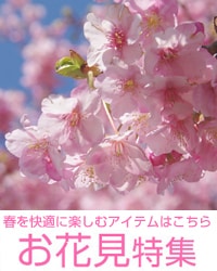 お花見特集