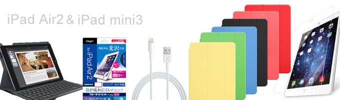 Apple iPad Air2(Softbank)Wifiケース、充電器付き Apple iPad Air2(Softbank)Wifiケース、充電器付き （iPad Air2