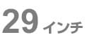 29インチ