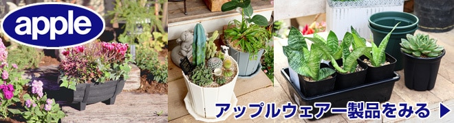 アップルウェアー