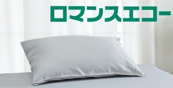 ロマンスエコー