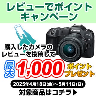 ミラーレス レビューでポイントキャンペーン
