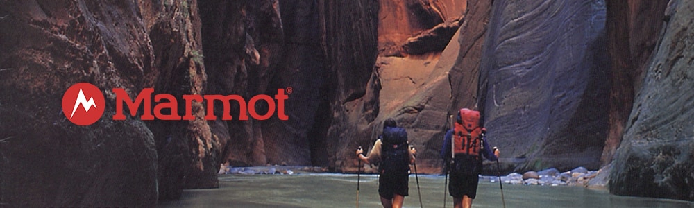 marmot
