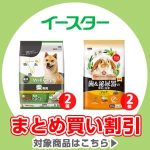 イースターまとめ買い