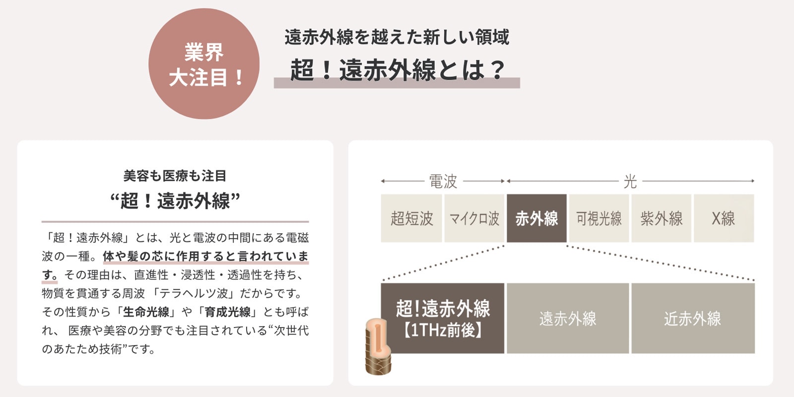 超!遠赤外線とは