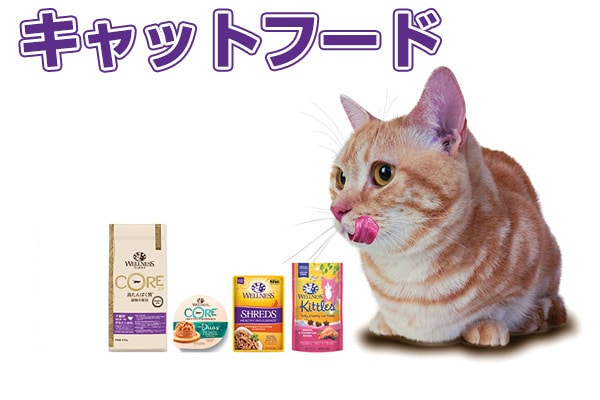 キャットフード