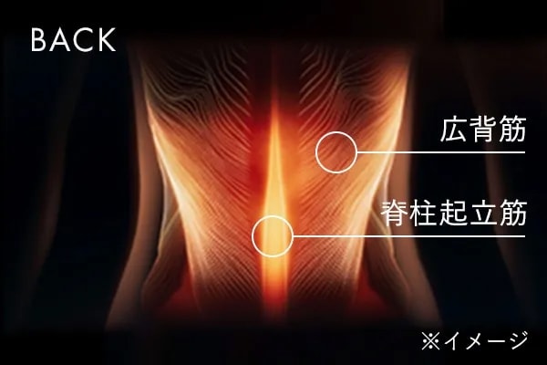 アプローチ部位 バック