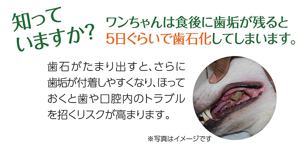 知っていますか