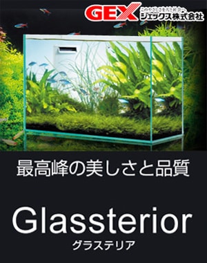 GEX グラステリア >