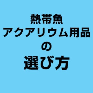 熱帯魚・アクアリウム用品の選び方