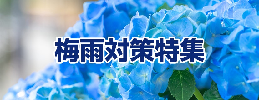 梅雨対策特集
