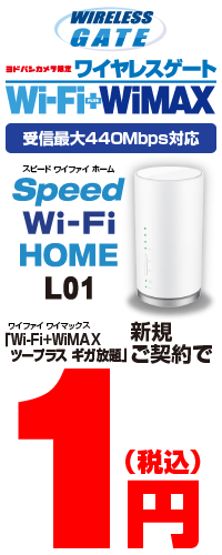 ワイヤレスゲート　WiFi+WiMAX