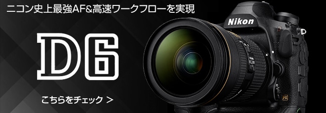 Nikon ニコン D6 デジタル一眼レフカメラ AF Fマウント | forstec.com