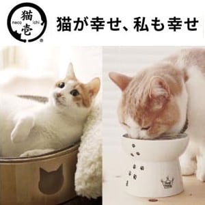 猫壱ラインアップ >